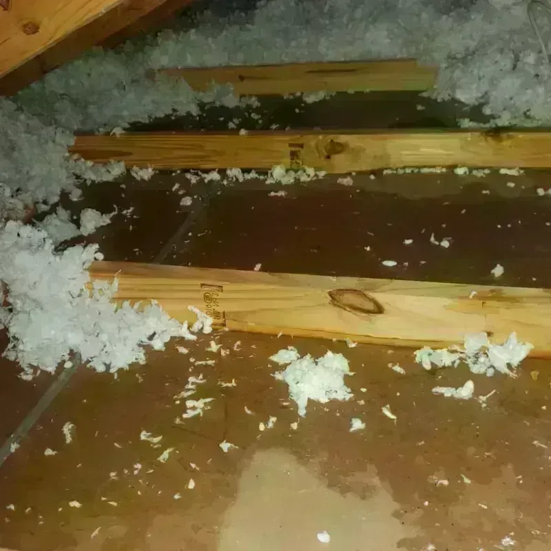 Attic Water Damage in Irvington, KY